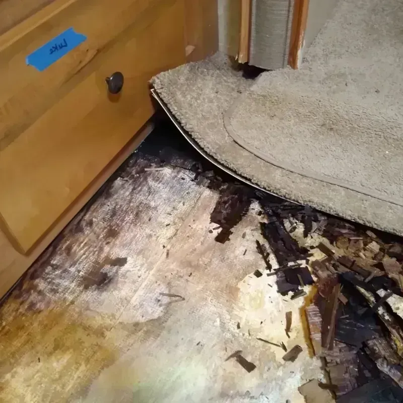 Wood Floor Water Damage in Lake in the Hills, IL